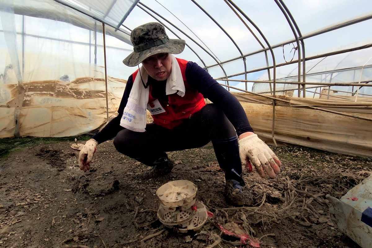 수해 복구 자원봉사